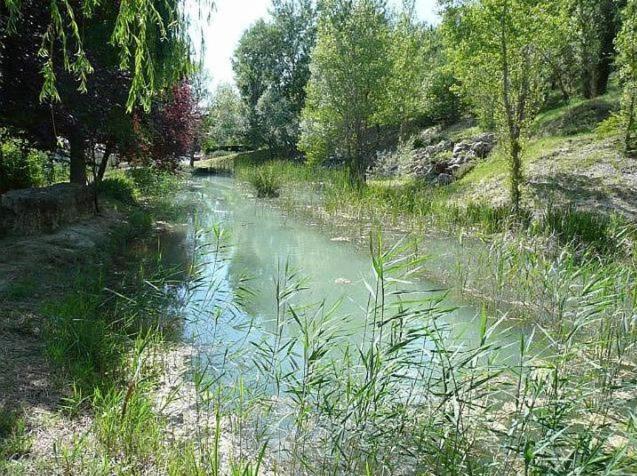 Mazet De Vacances Dans Le Domaine De L'Espai Saint-Martin-de-Brômes Dış mekan fotoğraf